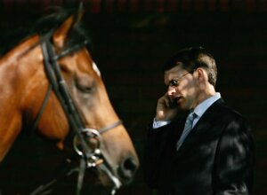 Horse trainer Aidan O'Brien