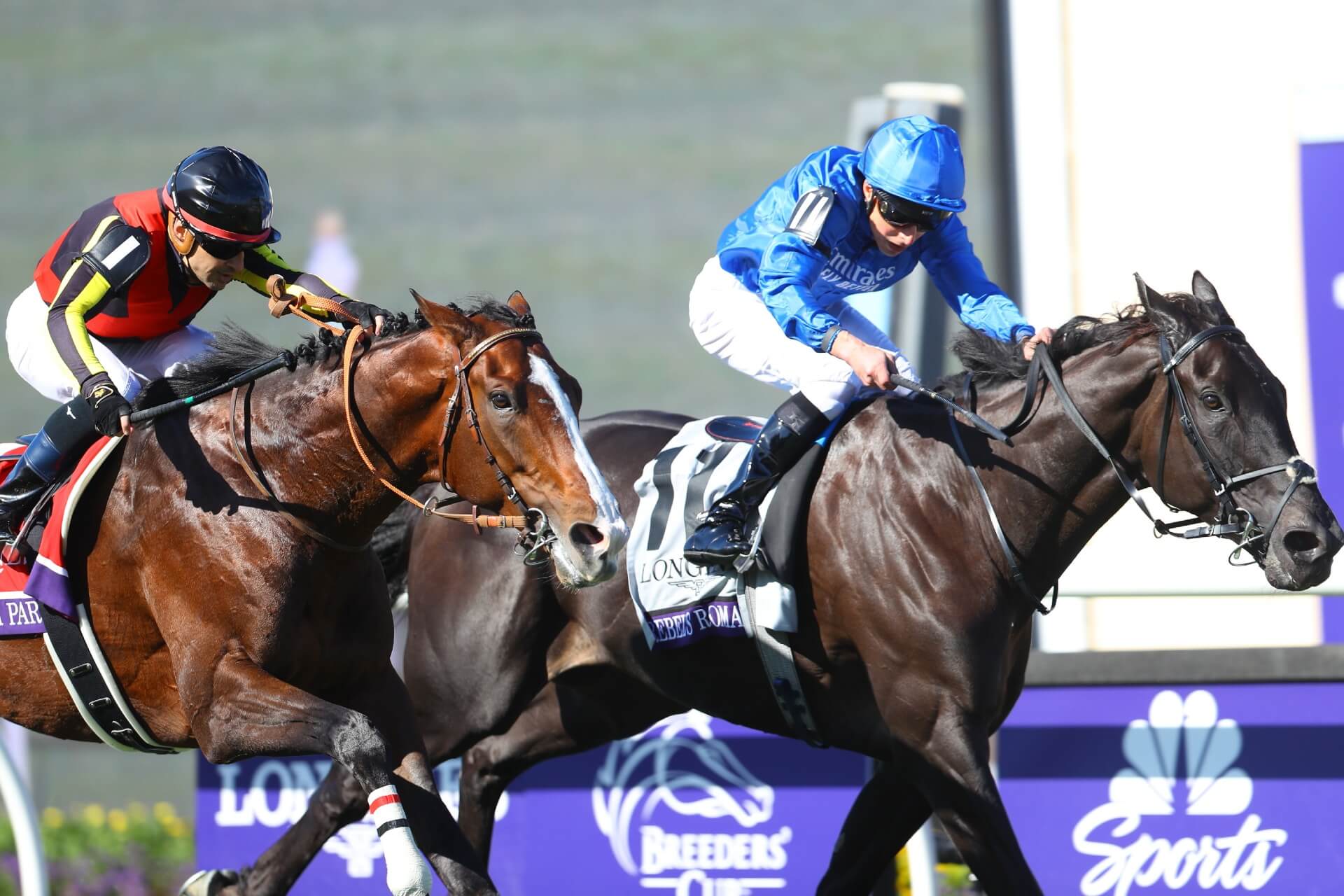 Rousham Park at the Breeders' Cup